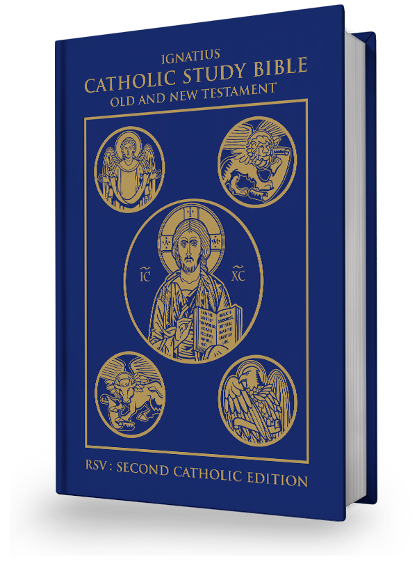 Catholic Study Bible